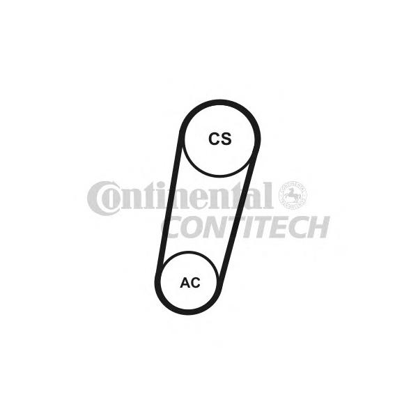 CONTITECH - 5PK705ELASTT1 (Ремень кондиционера 5PK705 (эластичный) для Ford Focus II 1.8/2.0)