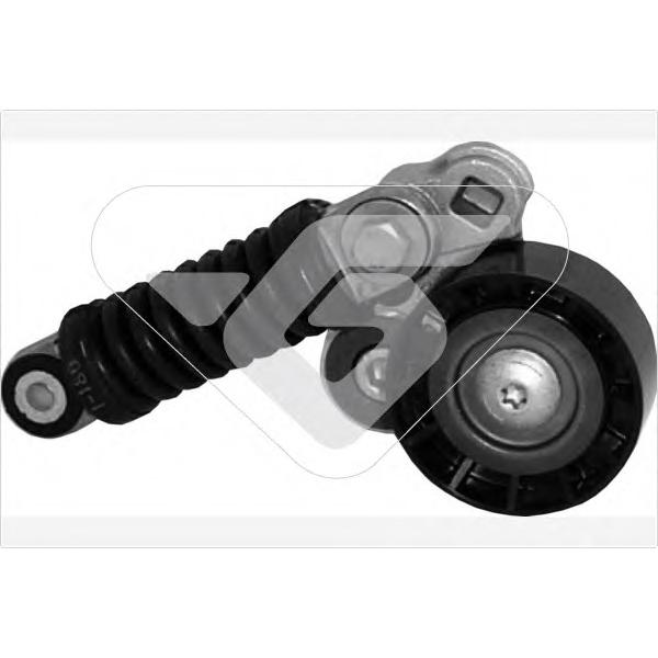 HUTCHINSON - T2008 (Ролик приводного ремня RENAULT MEGANE 2.0 16V 96>)