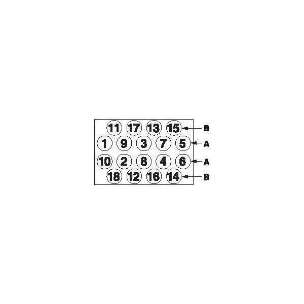PAYEN - HBS105 (Комплект болтов ГБЦ)