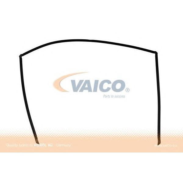 VAICO - V20-1204 (Прокладка, заднее стекло)